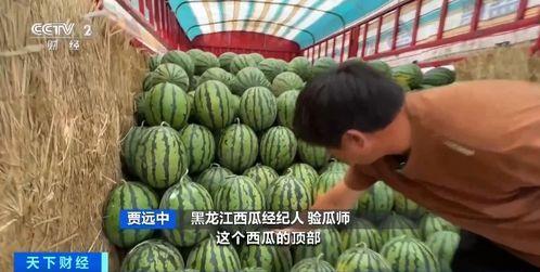 娱乐吃瓜蜀黍海苔咪,揭秘娱乐圈幕后故事  第2张